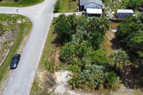 Land in Palm Bay, Florida № 2158800 - photo 4