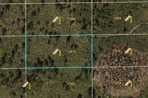Land in Orlando, Florida № 2160504 - photo 2