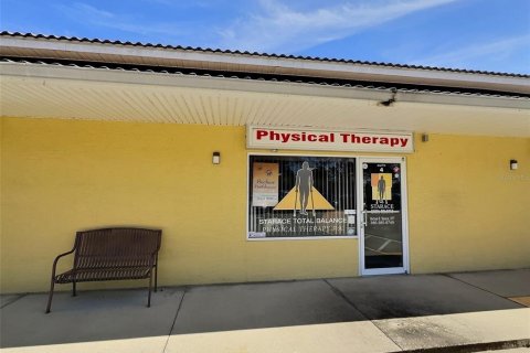 Propiedad comercial en venta en Bunnell, Florida № 1520852 - foto 1