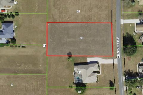 Land in Inverness, Florida № 1570705 - photo 1