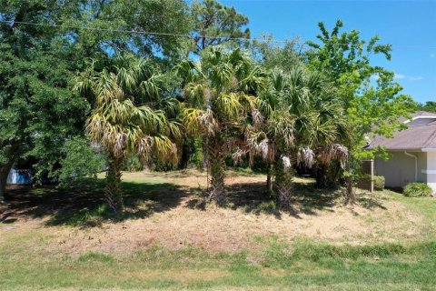 Terreno en venta en Palm Coast, Florida № 1593073 - foto 2