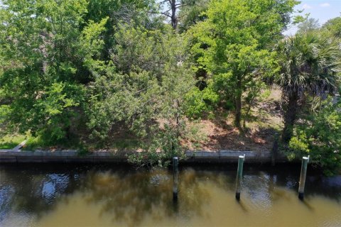 Terreno en venta en Palm Coast, Florida № 1593073 - foto 15
