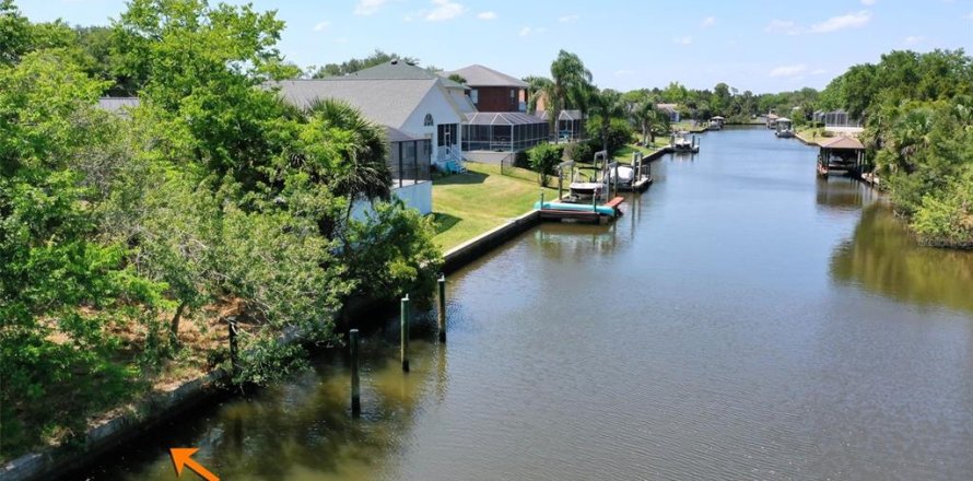 Terreno en Palm Coast, Florida № 1593073