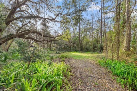 House in Gainesville, Florida 3 bedrooms, 231.79 sq.m. № 1719908 - photo 9