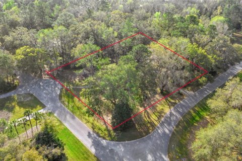 House in Gainesville, Florida 3 bedrooms, 231.79 sq.m. № 1719908 - photo 11