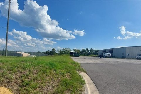 Propiedad comercial en venta en Mount Dora, Florida № 715682 - foto 2