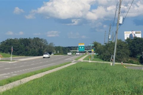 Propiedad comercial en venta en Mount Dora, Florida № 715682 - foto 3