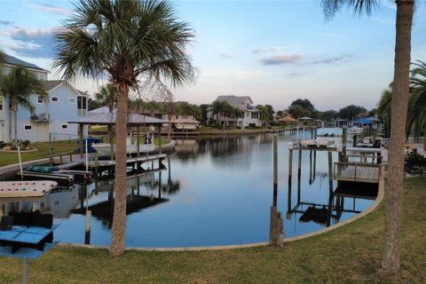 Terreno en venta en Crystal River, Florida № 2167823 - foto 11