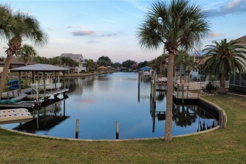 Terreno en venta en Crystal River, Florida № 2167823 - foto 12
