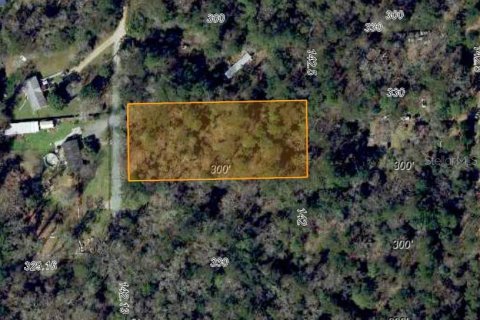 Land in Tallahassee, Florida № 2232277
