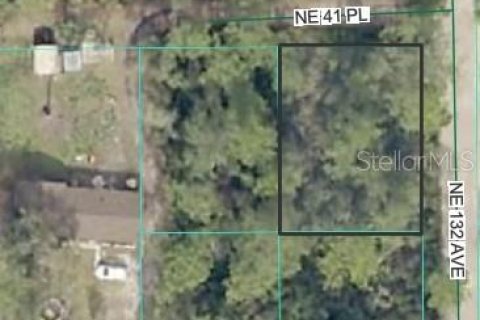 Земельный участок в Силвер-Спрингс-Шорс, Флорида № 2222170