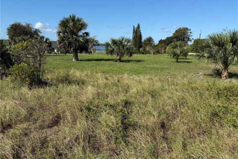Land in Astatula, Florida № 1883618 - photo 2