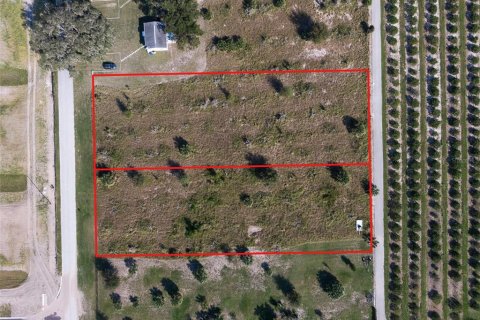 Land in Astatula, Florida № 1883618 - photo 3