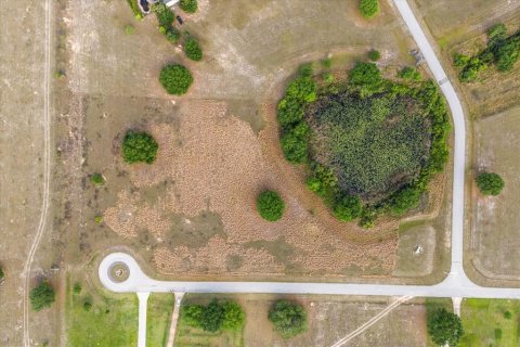 Terreno en venta en Groveland, Florida № 1716937 - foto 8
