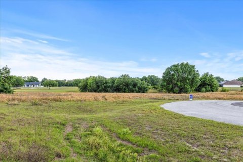 Terreno en venta en Groveland, Florida № 1716937 - foto 17