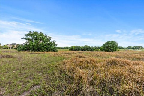 Terreno en venta en Groveland, Florida № 1716937 - foto 16