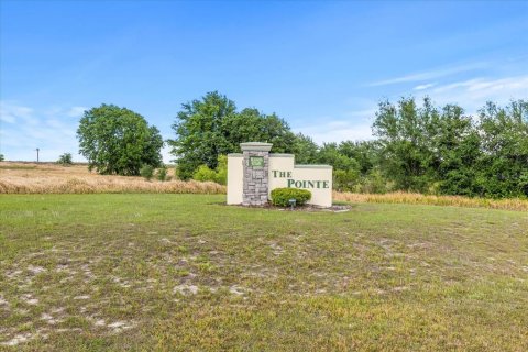 Terreno en venta en Groveland, Florida № 1716937 - foto 2