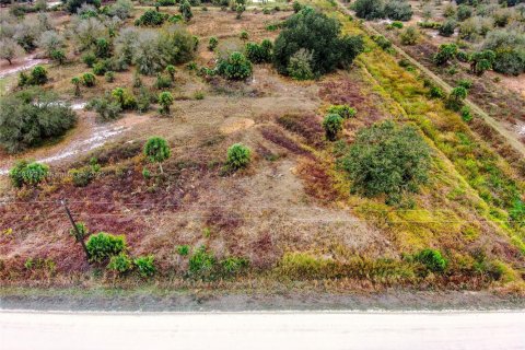 Land in Okeechobee, Florida № 1863454 - photo 23