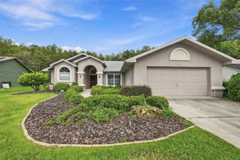 Villa ou maison à New Port Richey, Floride 3 chambres, 157.38 m2 № 2396438