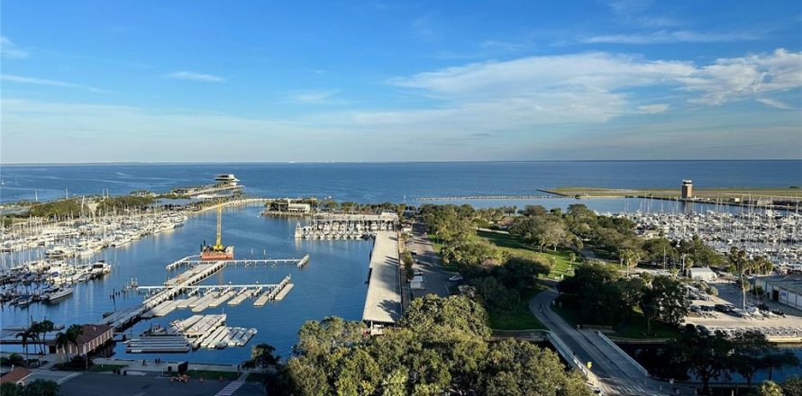Condo à Saint Petersburg, Floride, 2 chambres № 1036511