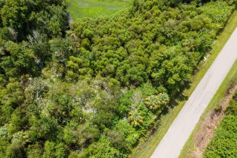Land in Port Charlotte, Florida № 2228913 - photo 29