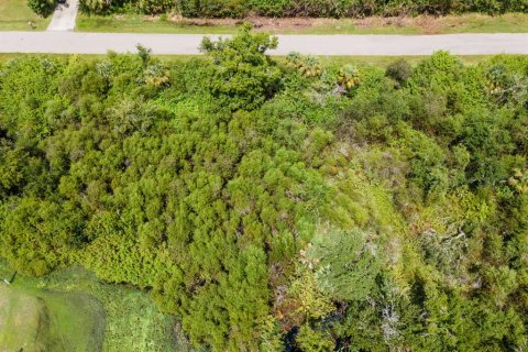 Land in Port Charlotte, Florida № 2228913 - photo 17