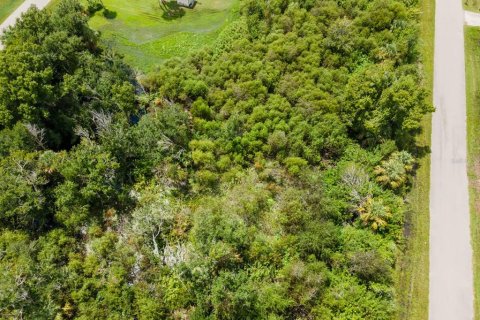 Land in Port Charlotte, Florida № 2228913 - photo 25