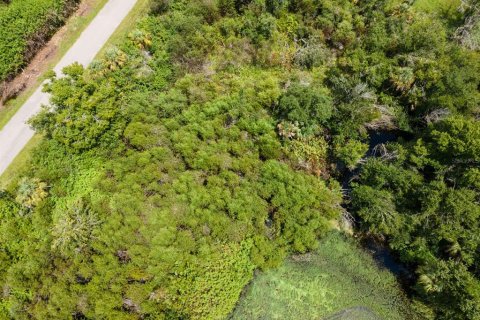 Land in Port Charlotte, Florida № 2228913 - photo 15