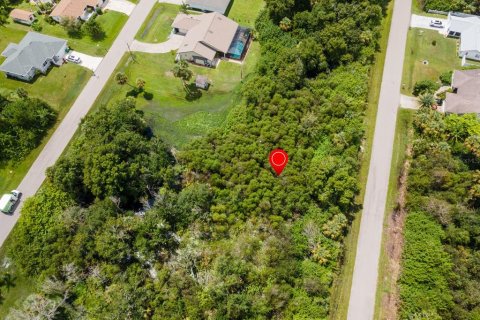 Land in Port Charlotte, Florida № 2228913 - photo 26