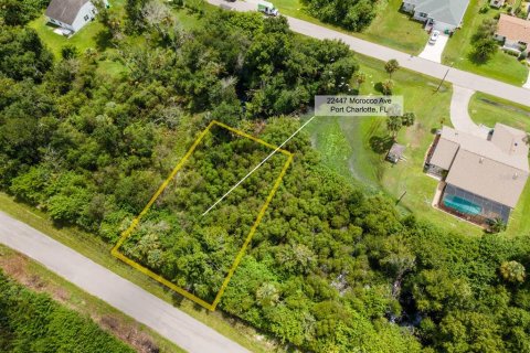 Land in Port Charlotte, Florida № 2228913 - photo 2
