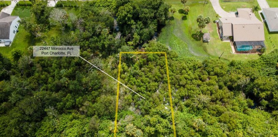 Land in Port Charlotte, Florida № 2228913