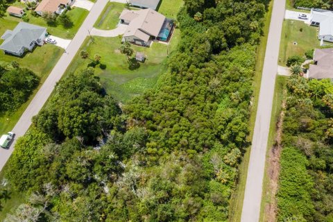 Land in Port Charlotte, Florida № 2228913 - photo 27