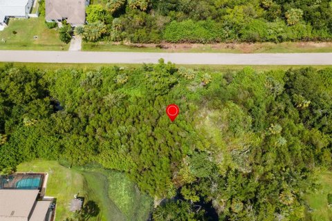 Land in Port Charlotte, Florida № 2228913 - photo 18