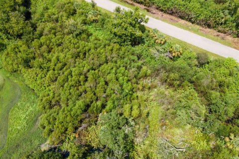 Land in Port Charlotte, Florida № 2228913 - photo 23