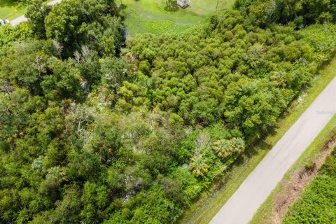 Land in Port Charlotte, Florida № 2228913 - photo 5