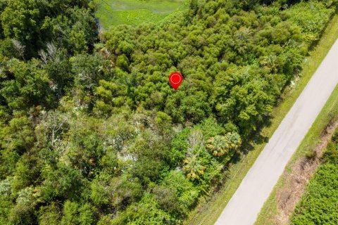 Land in Port Charlotte, Florida № 2228913 - photo 28