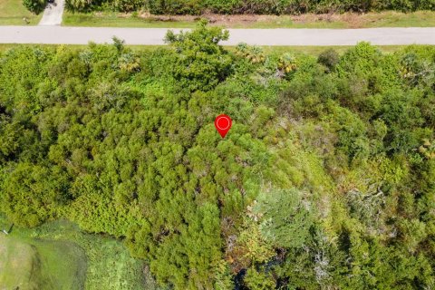 Land in Port Charlotte, Florida № 2228913 - photo 16