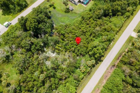 Land in Port Charlotte, Florida № 2228913 - photo 30