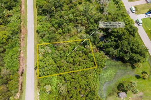 Land in Port Charlotte, Florida № 2228913 - photo 3