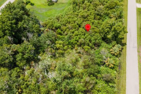 Land in Port Charlotte, Florida № 2228913 - photo 24