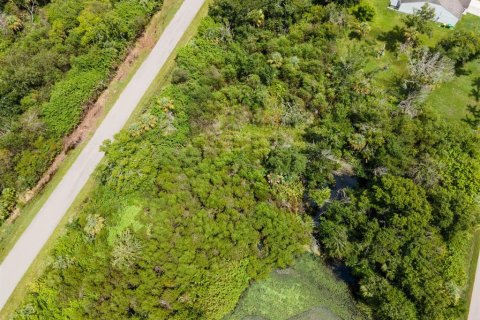 Land in Port Charlotte, Florida № 2228913 - photo 13