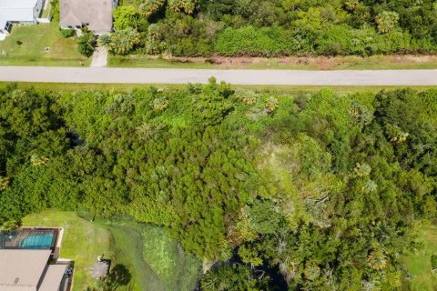 Land in Port Charlotte, Florida № 2228913 - photo 19