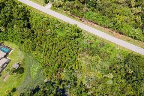Land in Port Charlotte, Florida № 2228913 - photo 21