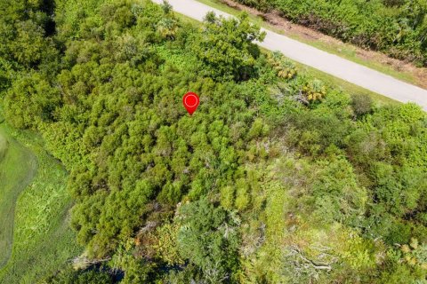 Land in Port Charlotte, Florida № 2228913 - photo 22