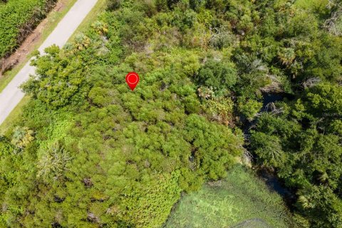 Land in Port Charlotte, Florida № 2228913 - photo 14