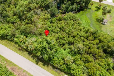 Land in Port Charlotte, Florida № 2228913 - photo 8