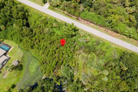 Land in Port Charlotte, Florida № 2228913 - photo 20