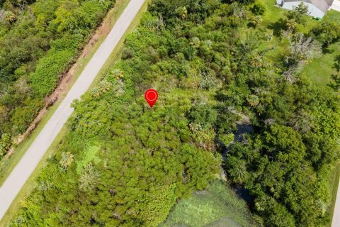 Land in Port Charlotte, Florida № 2228913 - photo 12