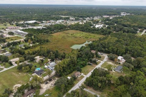 Land in Crystal River, Florida № 2391698 - photo 11