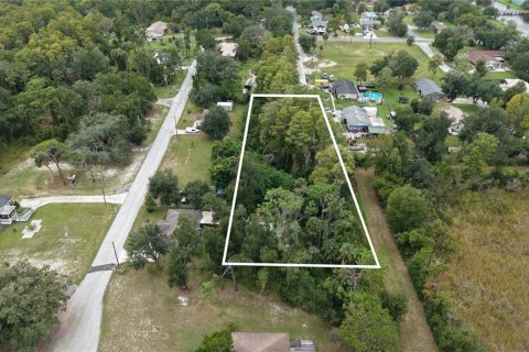 Land in Crystal River, Florida № 2391698 - photo 16